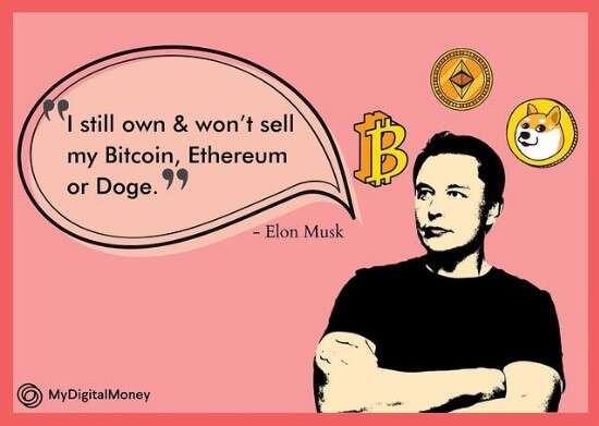 Elon Musk on Bitcoin and Ethereum